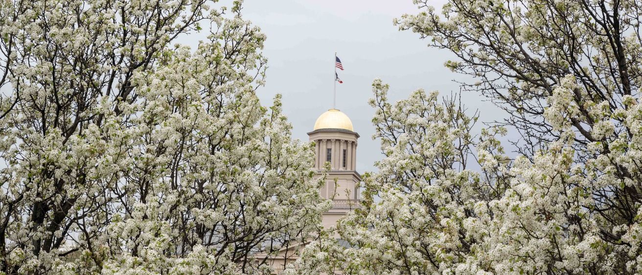 Old Capitol with white buds on trees